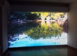 sandra-rey