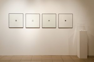 _DSC0713