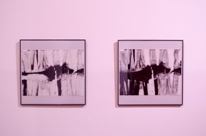 _DSC0768