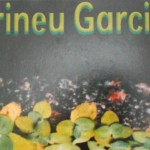 Paisagens – Irineu Garcia