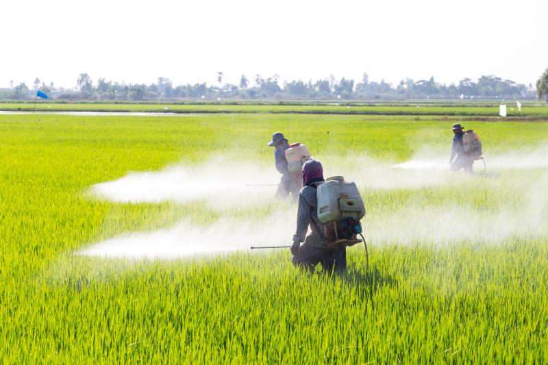 Paraquat
