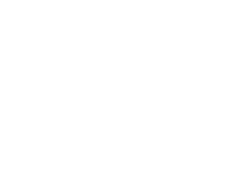 logo NAPEAD