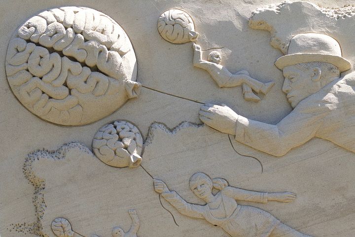 Brain 1618377 480