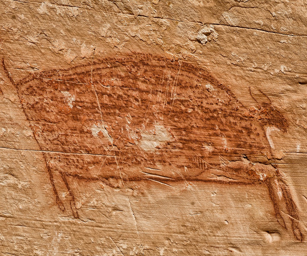 ANÁLISE GENÔMICA DO TDAH EM NEANDERTAIS E HUMANOS MODERNOS