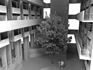 22_NCX-IMG-13