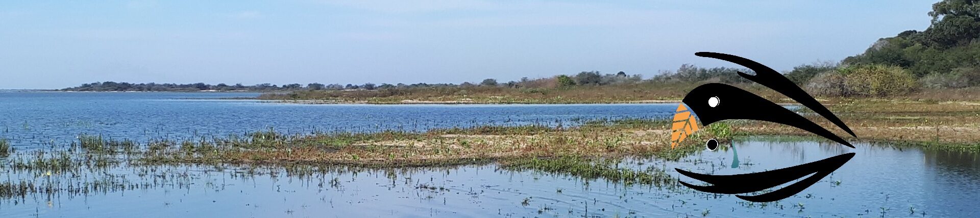 Centro de Ecologia