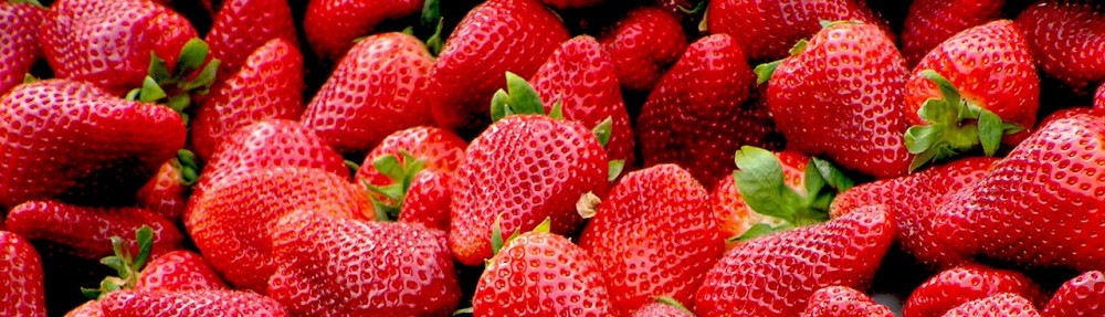 Centro de Estudos em Alimentação e Nutrição