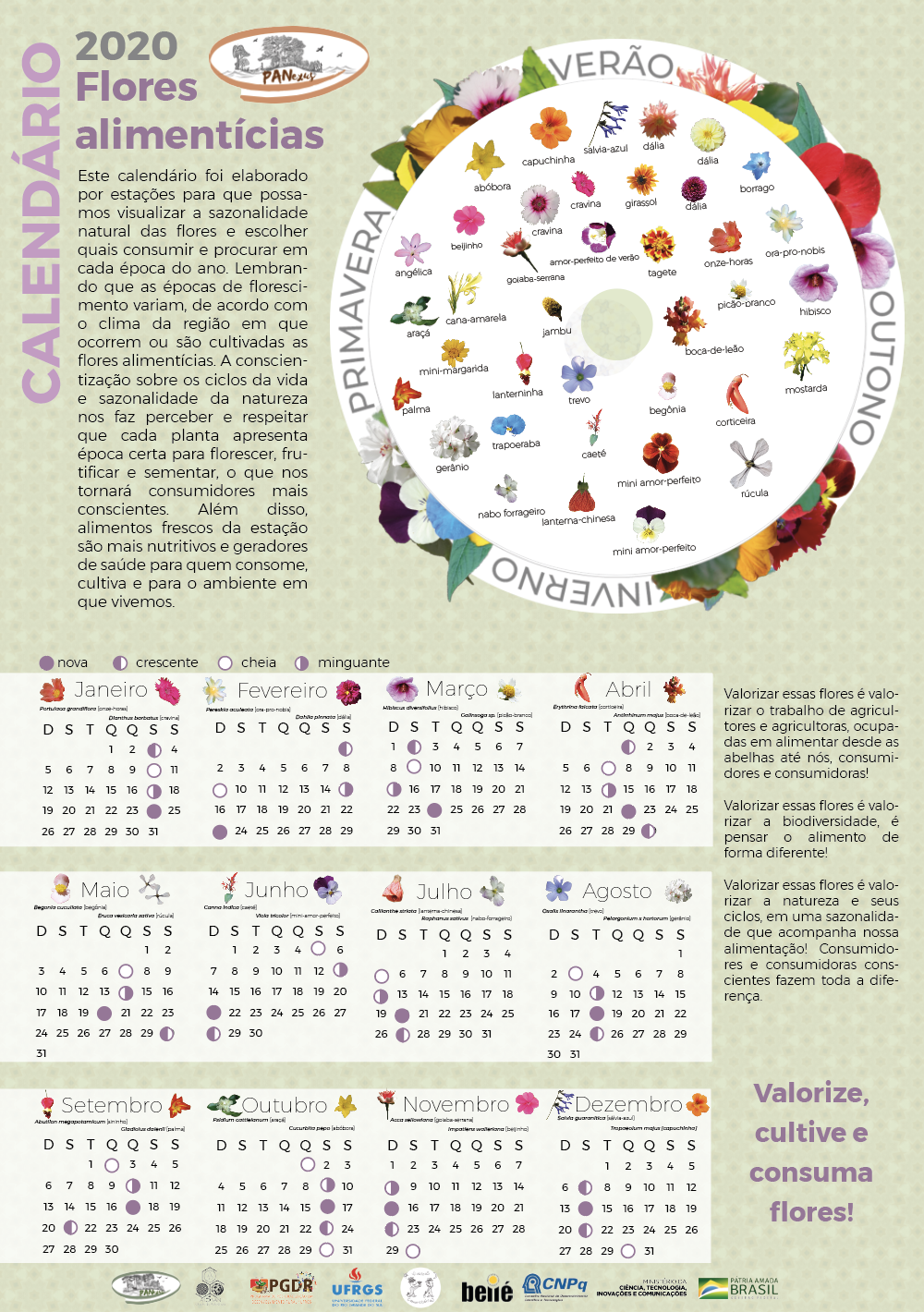 CALENDARIO FLORES