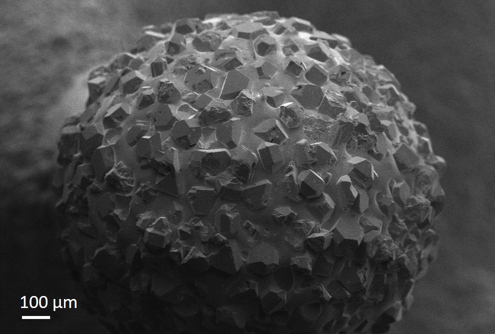"Haste metálica recoberta de diamantes sintéticos (broca para odontologia) Grupo de Pesquisa da ULBRA Equipamento: MEV Zeiss EVO MA10 "