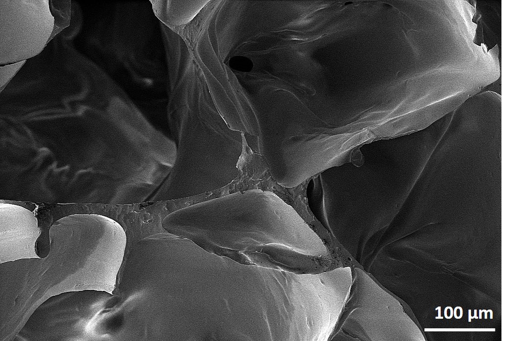 "Espuma de poliuretano com poliol de lignina e carga de nanocelulose Grupo de materiais compósitos e nanocompósitos (GCOMP ) do Departamento de Materiais da Escola de Engenharia da UFRGS Equipamento: MEV Zeiss EVO MA10 "
