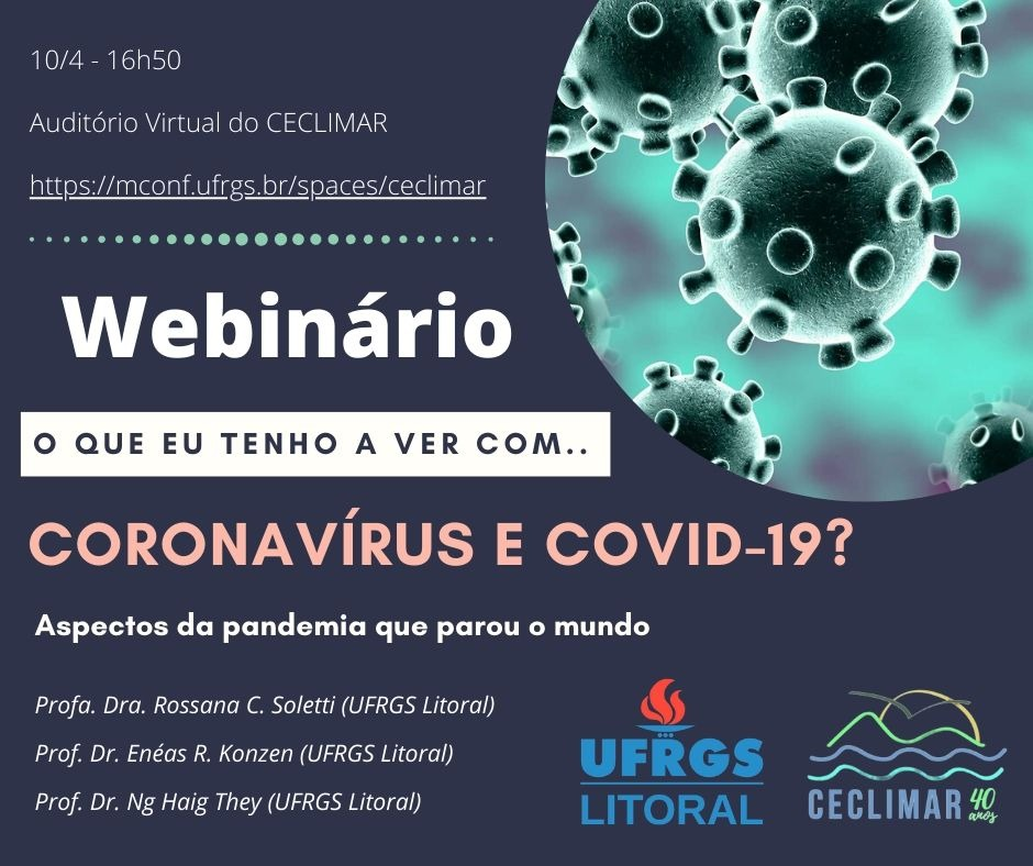Reveja o Webinário