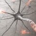 Ilustração de uma rede de comunicação neuronal