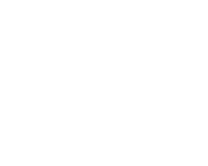 Brasão UFRGS