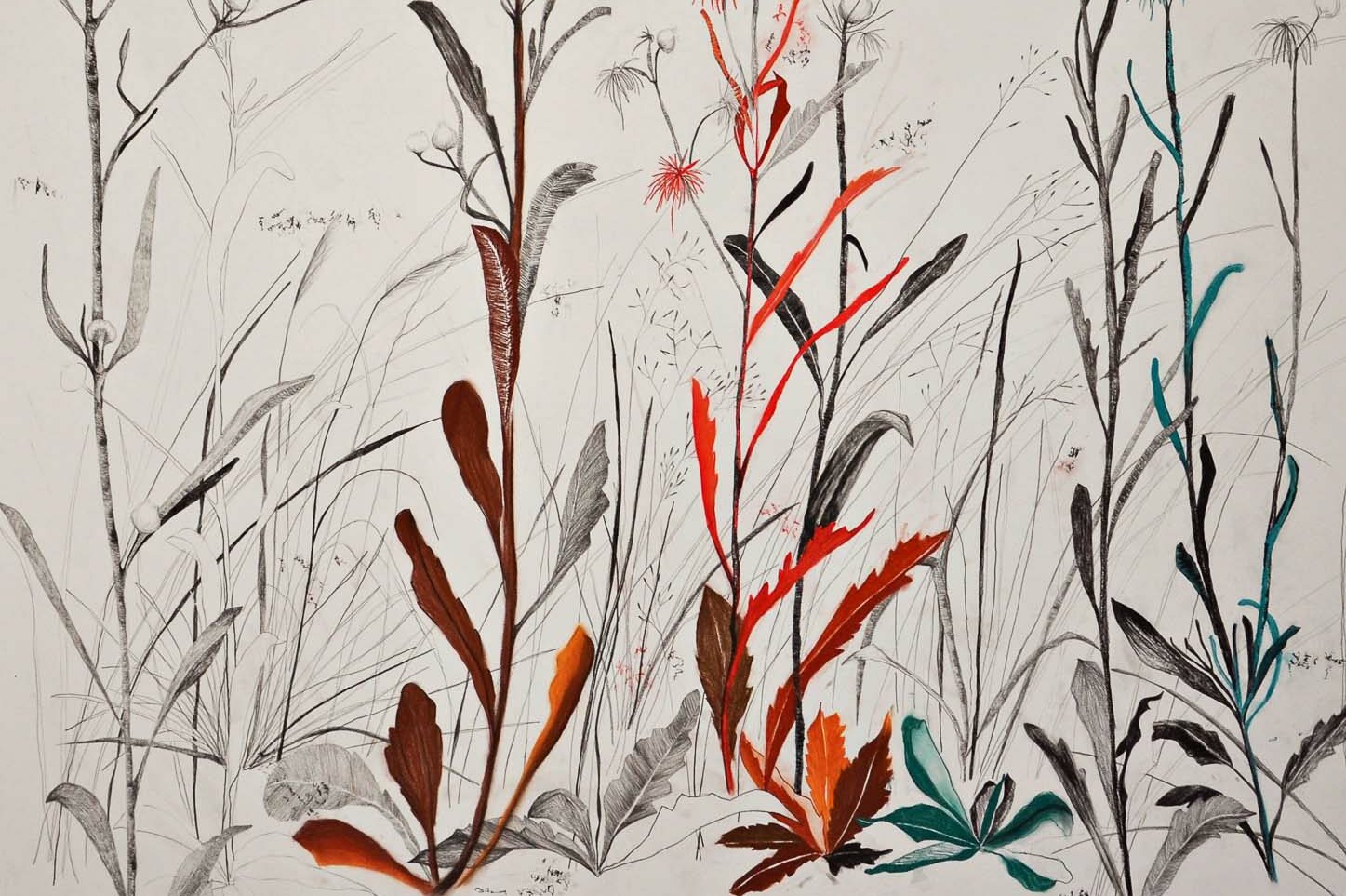 Exposição "Às margens do desenho" traz investigação de Claudia Hamerski sobre seu processo criativo