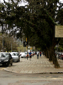 A José Bonifácio não parece a mesma rua do Brique durante a semana