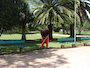 DMLU limpando o parque na quinta-feira à tarde