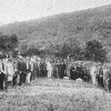 1909