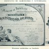 1914
