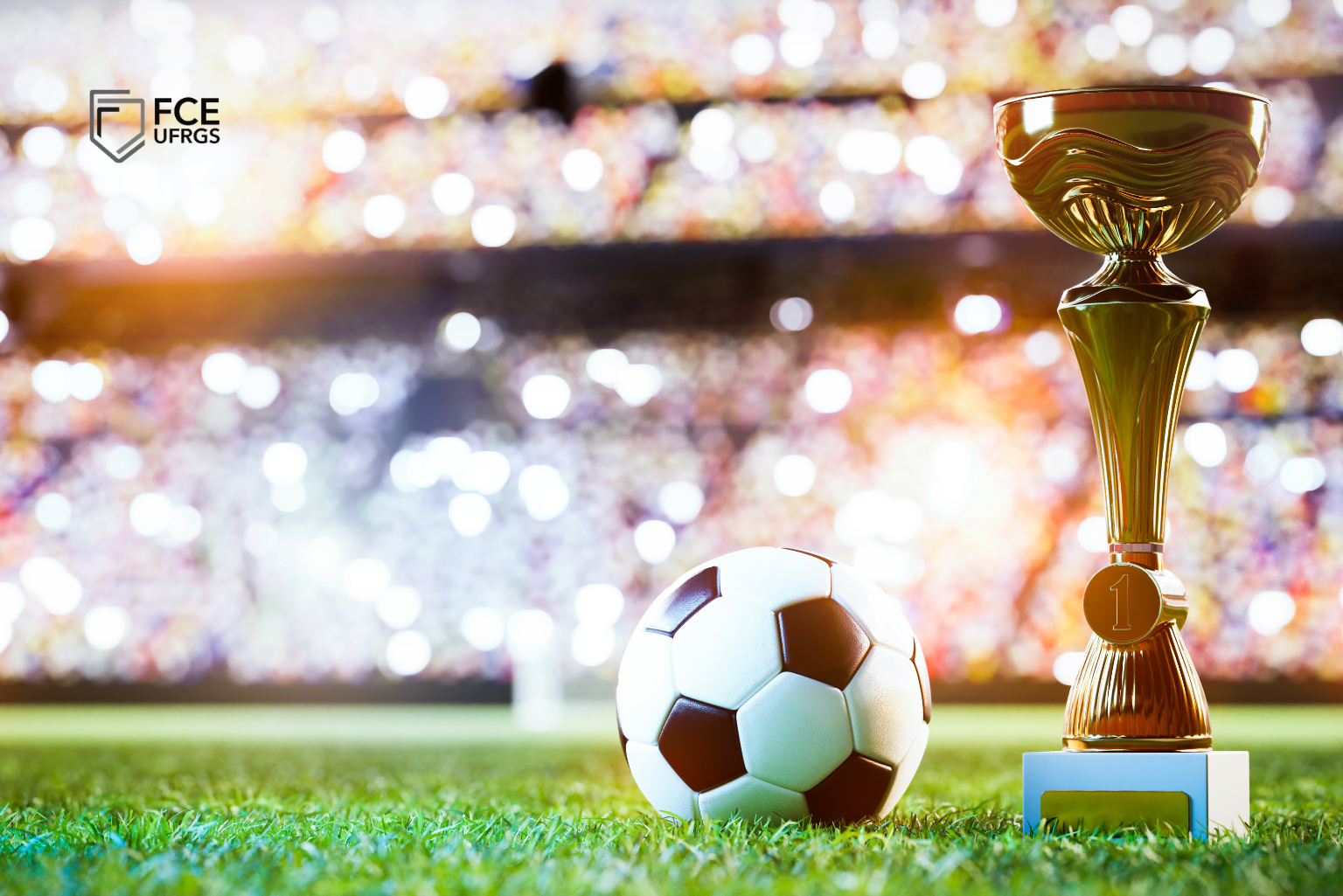 A Copa do Mundo e a Economia dos Torneios de Promoção