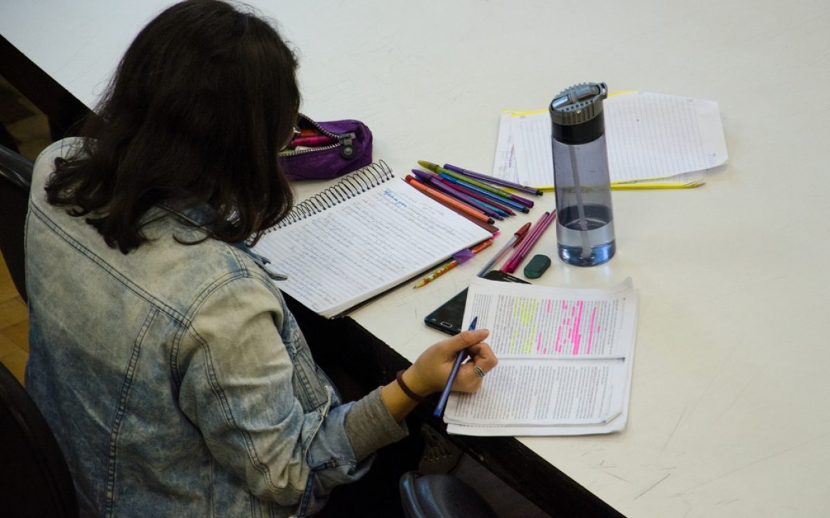 Foto: Rochele Zandavalli/UFRGS