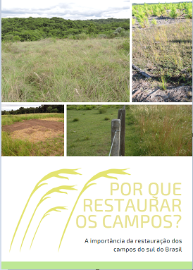 O atributo alt desta imagem está vazio. O nome do arquivo é image-1.png