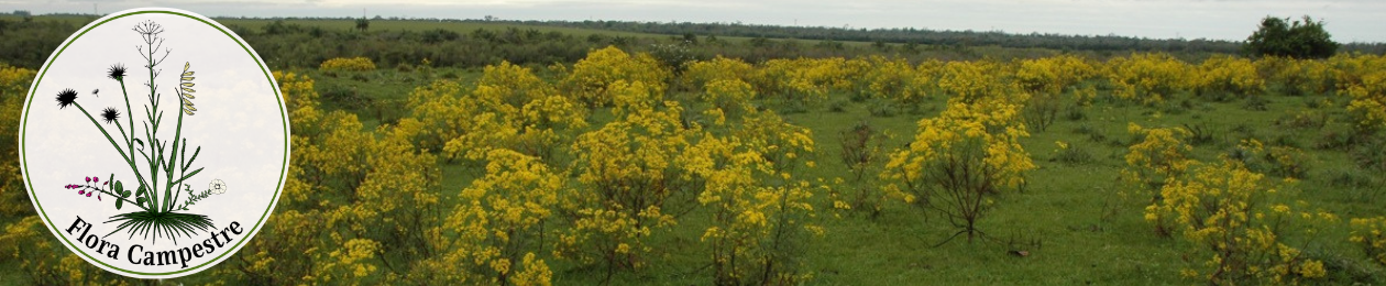 Flora Campestre
