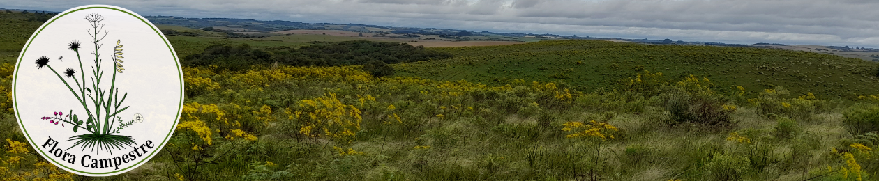 Flora Campestre