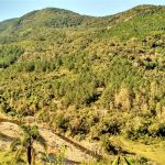 <font size="4"><strong>As (incon)formações da paisagem</strong></font>