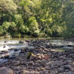 <font size="4"><strong>Beautiful view of river with gravel-bed sediments</strong></font>