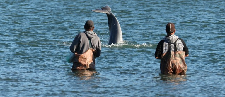 pescadores