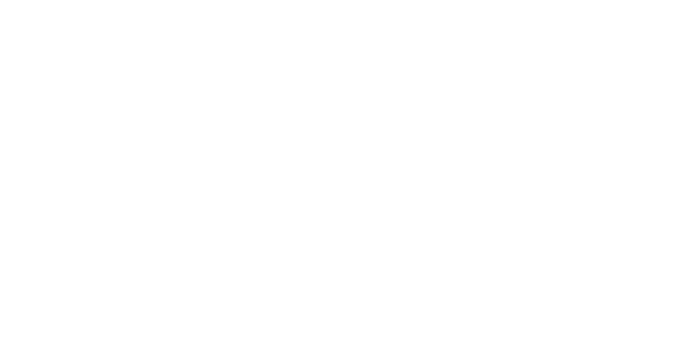 NEO, Núcleo de Engenharia Organizacional