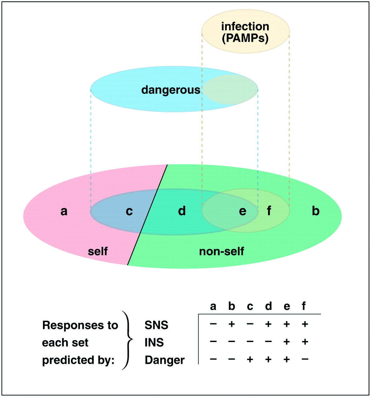 The danger theory