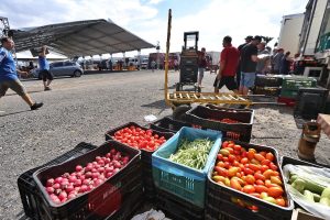 Entidades se mobilizam para garantir disponibilidade de alimentos, gás, combustíveis e remédios