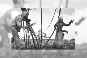 Foto que ilustra reportagem do JU impresso número 160, sobre antropologia e direitos humanos. Na imagem, trabalhadores em situação aviltante, no corte de cana. Fotografia Preto e Branco de Sebastião Salgado.