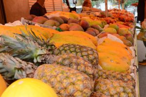 Agendas eleitorais tratam menos de fome e mais de produção agropecuária