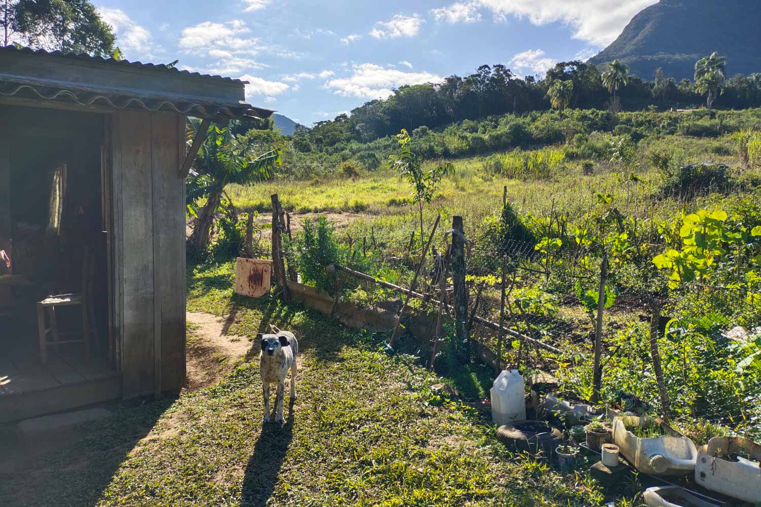 Fotografia mostra casa simples localizada em área de risco de tragédia ambiental mapeada por pesquisas do Instituto de Pesquisas Hidráulicas da UFRGS