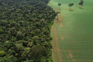 Uma nova arquitetura financeira para a transição verde