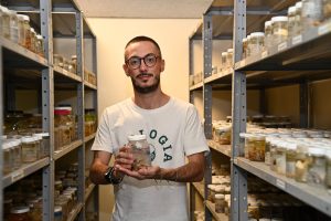 Pesquisadores descobrem duas espécies novas de lagostins no Rio Grande do Sul