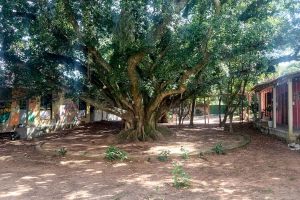 Rompimento do ciclo da violência contra a mulher demanda uma rede de acolhimento bem estruturada e a...