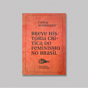 Breve-historia-critica-do-feminismo-no-brasil-MONTAGEM3