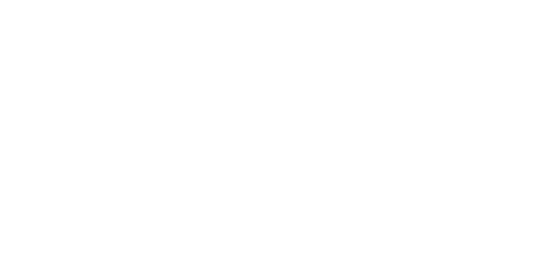 Logo do Napead