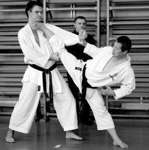 karate 1
