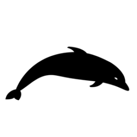 Coleção Mastozoológica