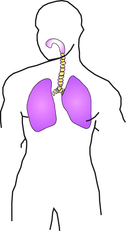 SISTEMARESPIRATÓRIO