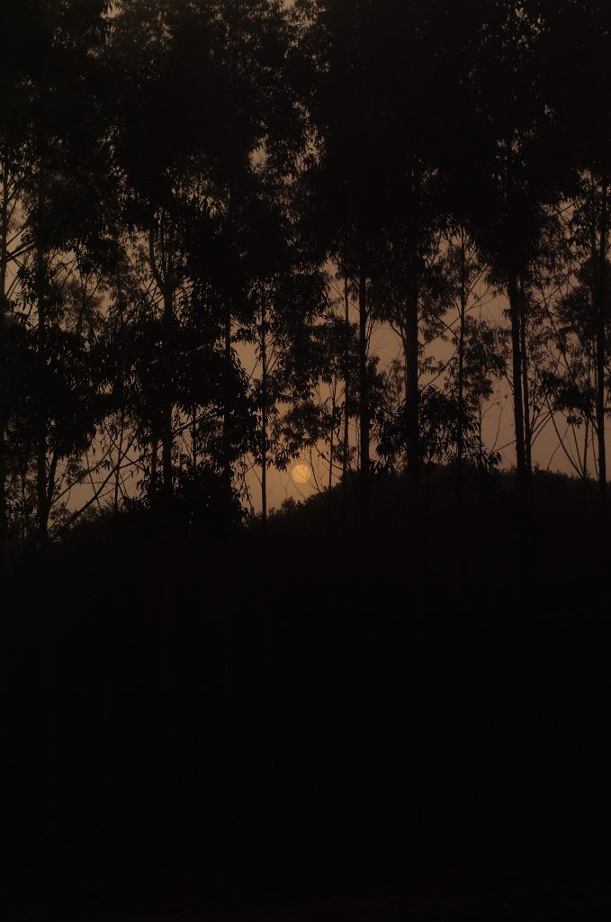 Foto: Heitor Jardim