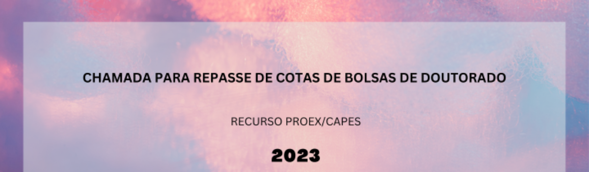 Chamada 01/2023 para a concessão de bolsas de Doutorado – Parcelas adicionais