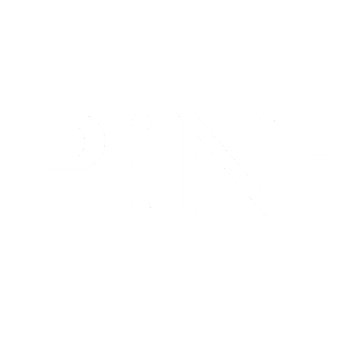 Pine – Projeto Imprensa Negra Educadora