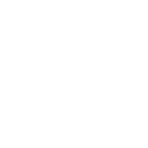 Research Areas