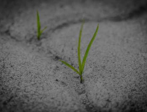 Sustentabilidade do Ciclo de Vida do Ambiente Construído