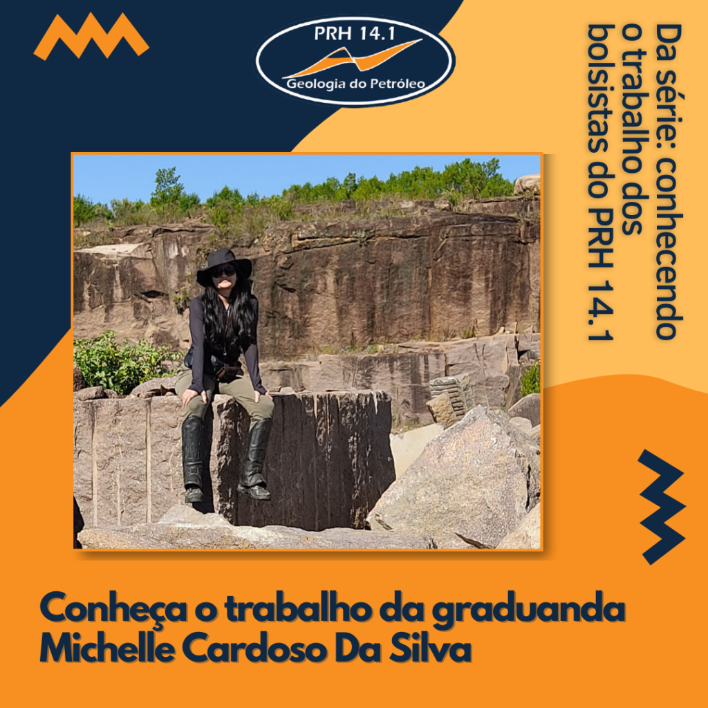 Conheça o trabalho da graduanda Michelle C. da Silva